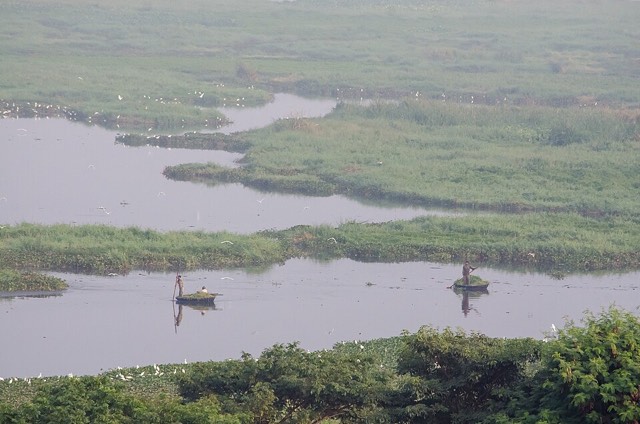 Area photo · Bellandur