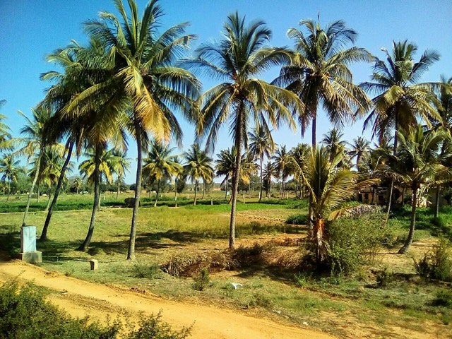 Area photo · Doddaballapur Road