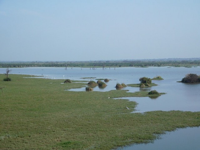 Area photo · Hoskote